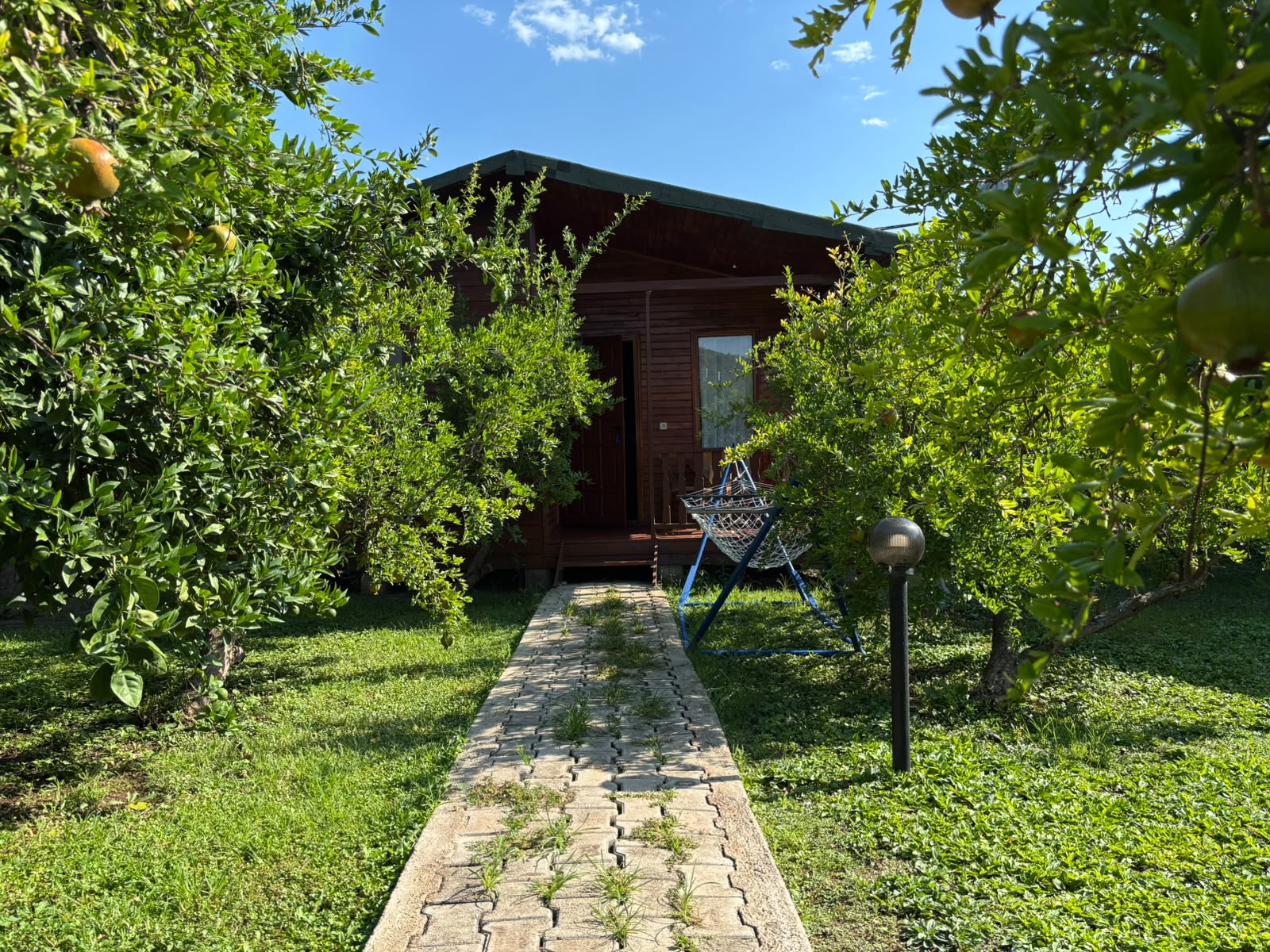 Yıldız Pansiyon Bahçe